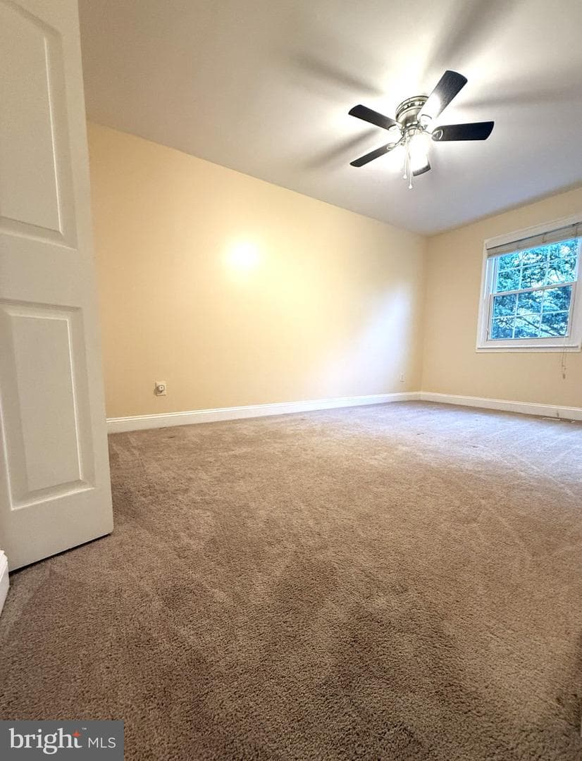 314 Hometown Way photo 49