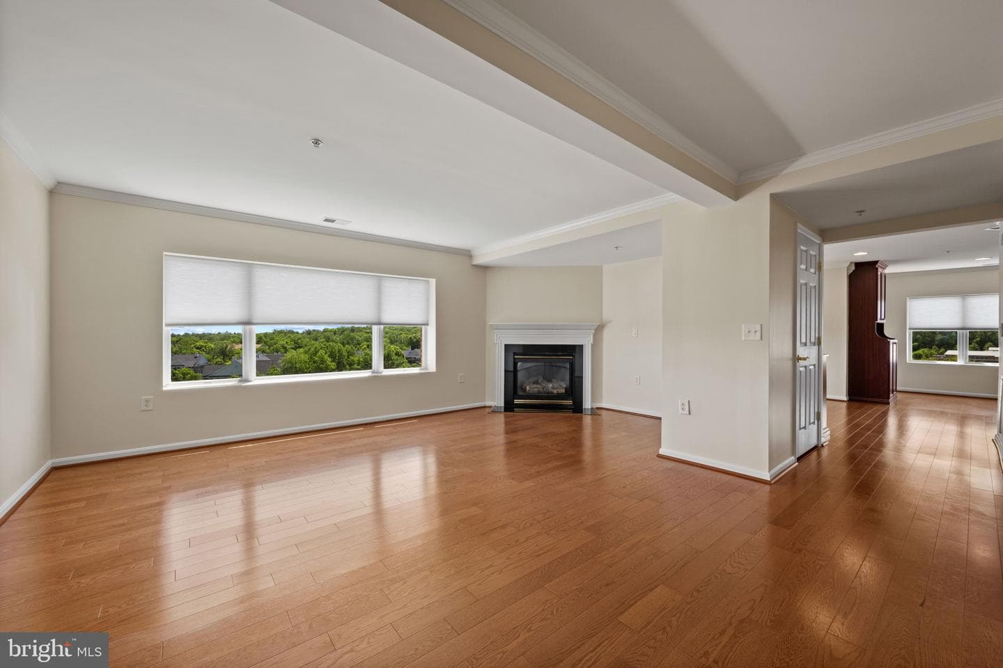 12236 Roundwood Road #703 photo 4