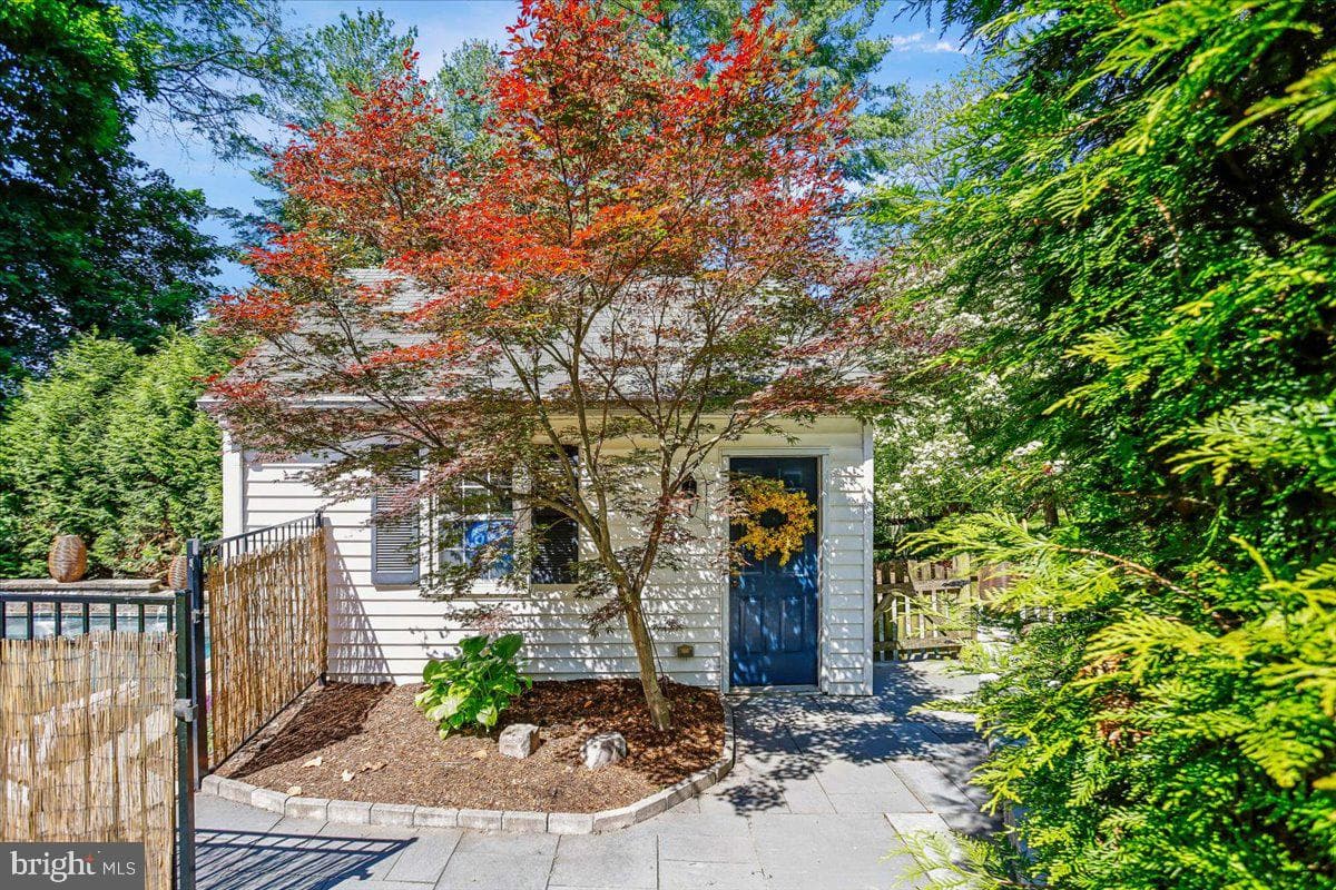 7810 Chelsea Street photo 64