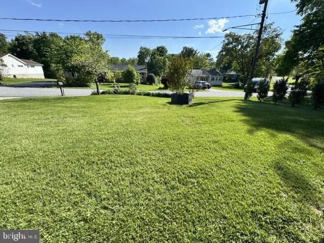 5404 Bush Street photo 5