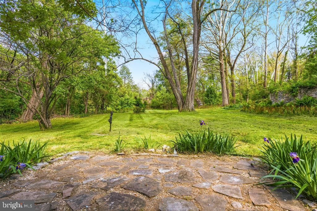 521 Brightfield Road photo 18