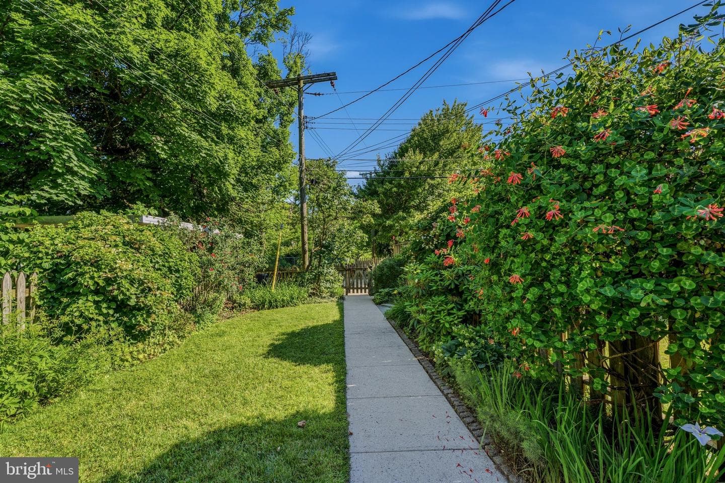 209 Burke Avenue photo 33