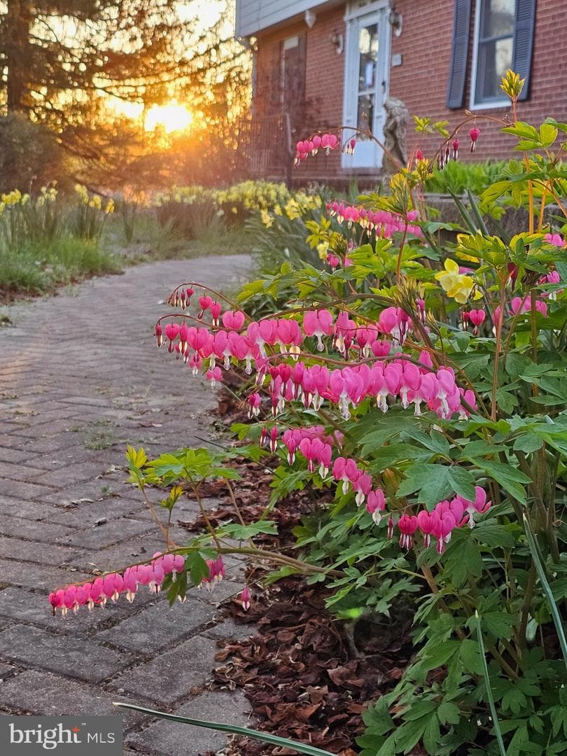 1900 Frederick Road photo 46