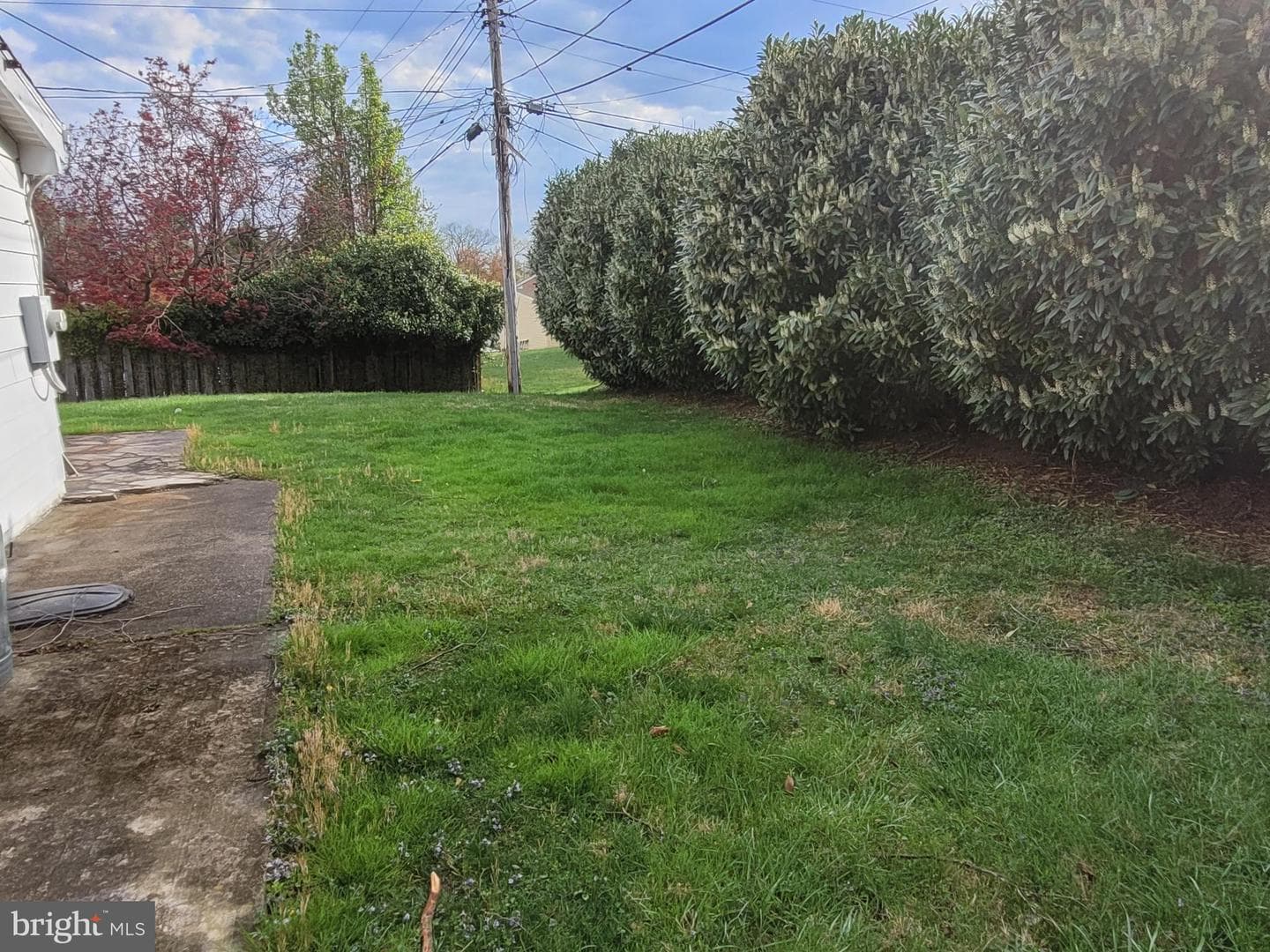 6805 Pimlico Drive photo 28