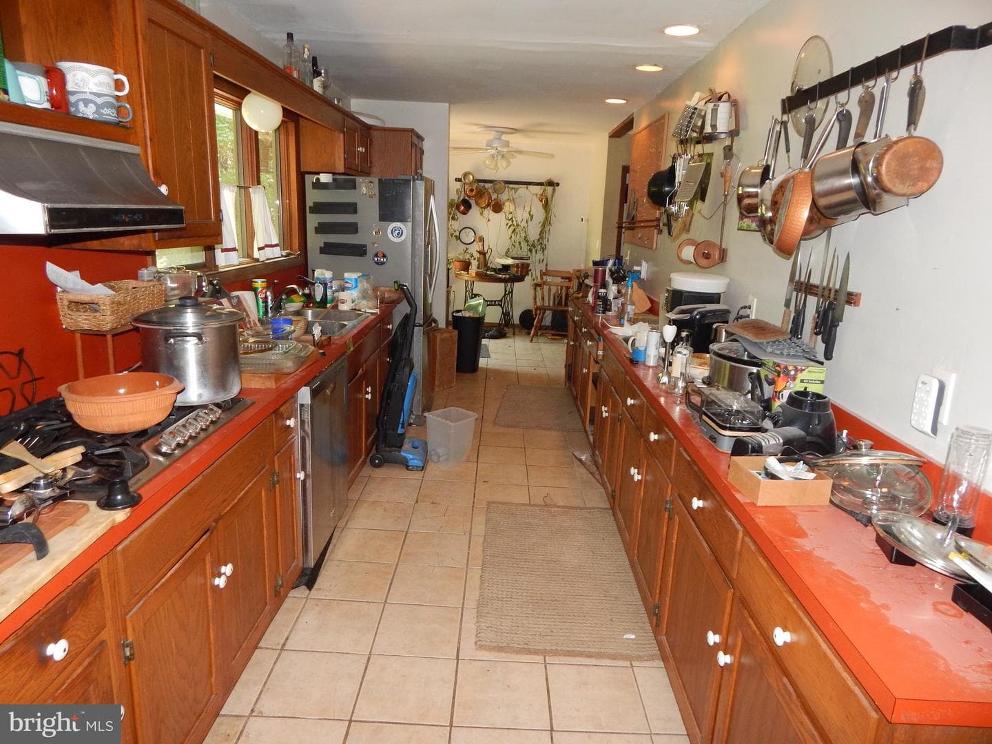 5 Sunnydale Way photo 25