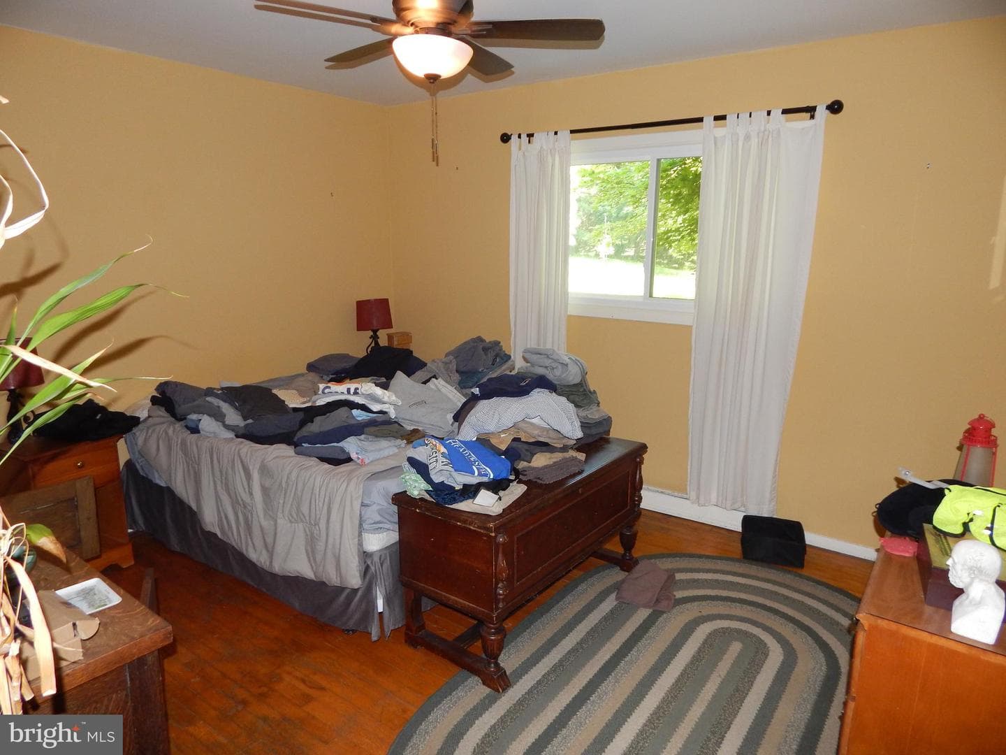5 Sunnydale Way photo 41