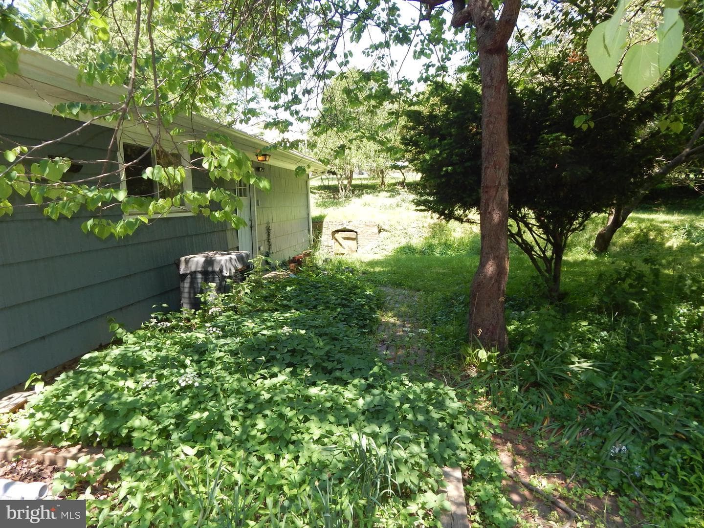 5 Sunnydale Way photo 48