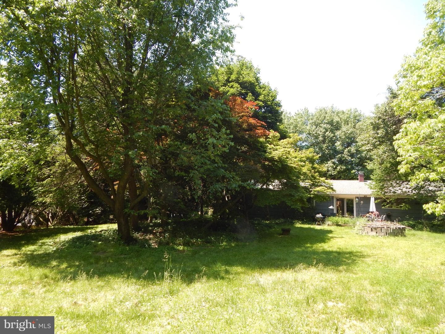 5 Sunnydale Way photo 59