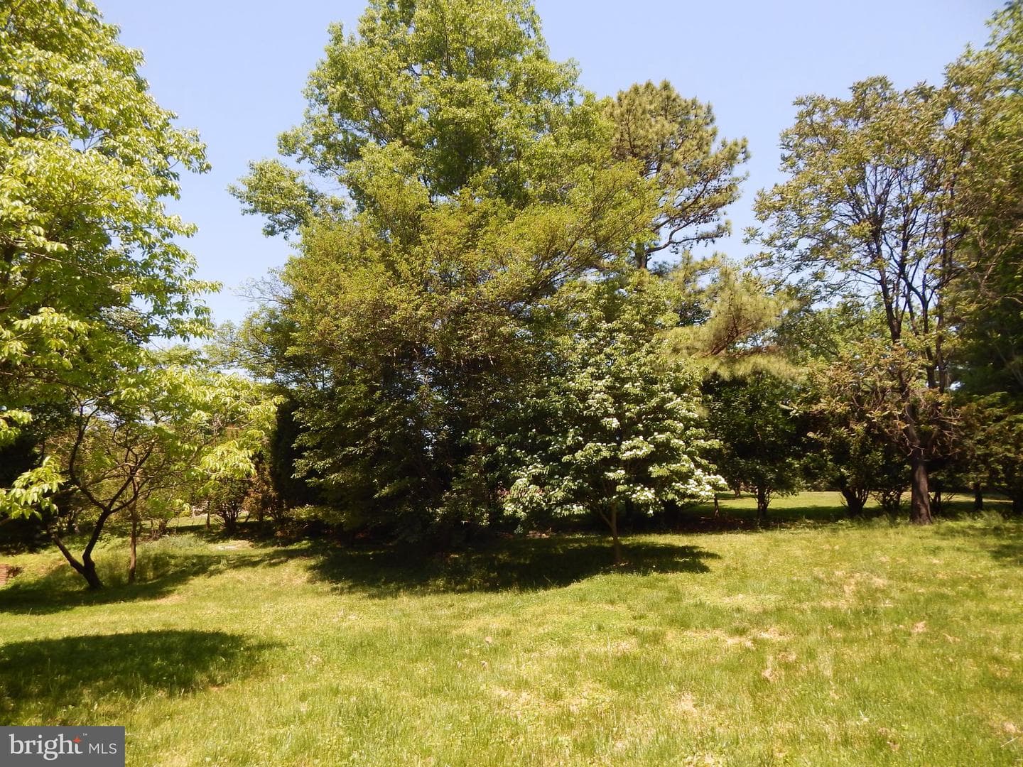 5 Sunnydale Way photo 60