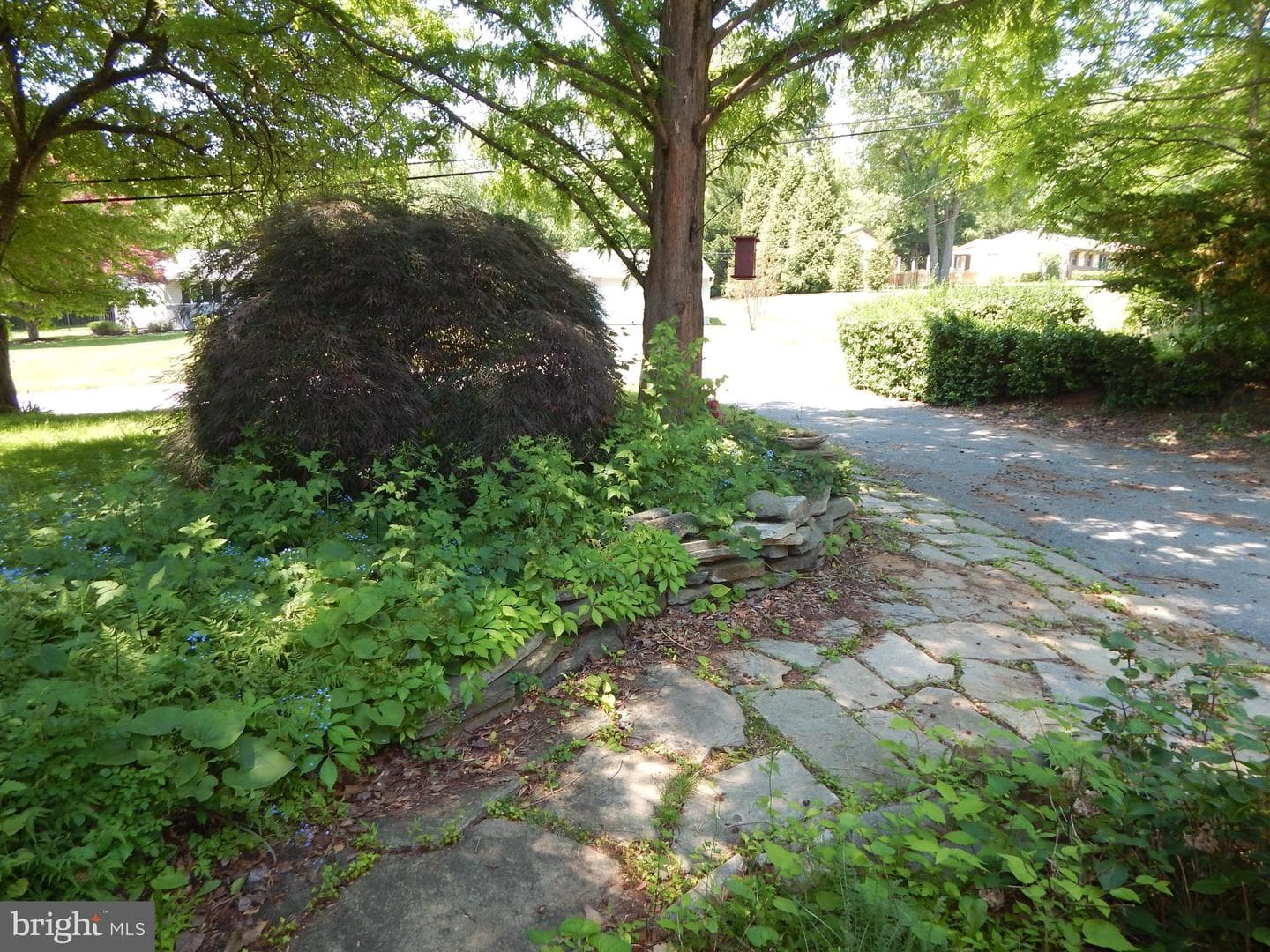 5 Sunnydale Way photo 8