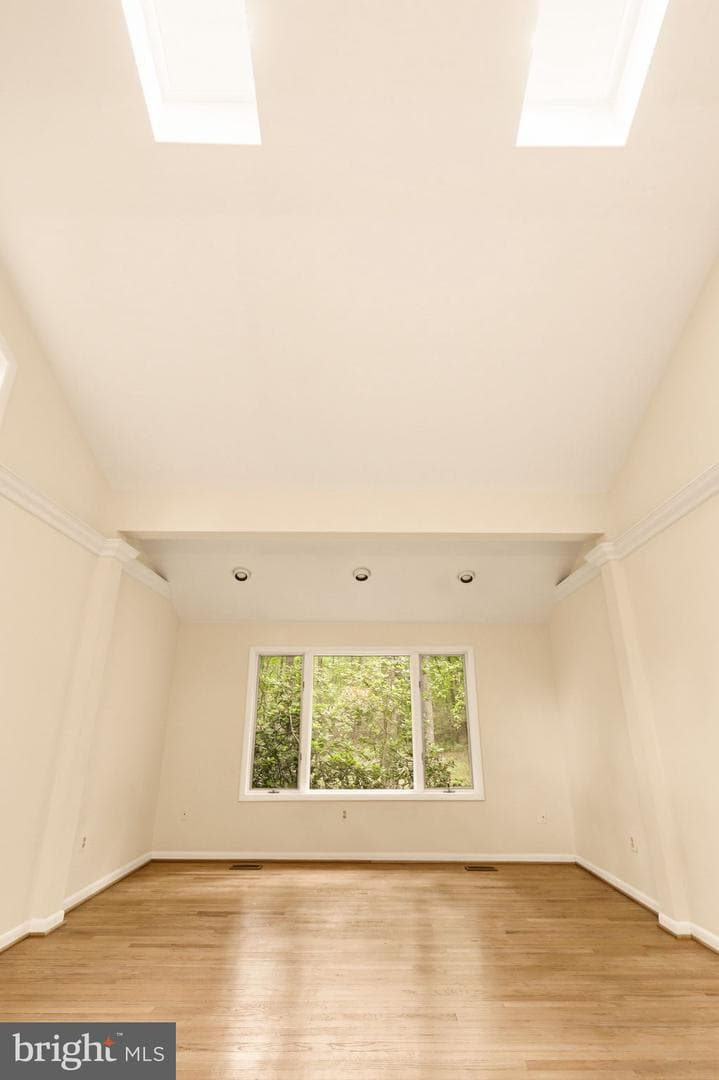 Md photo 10