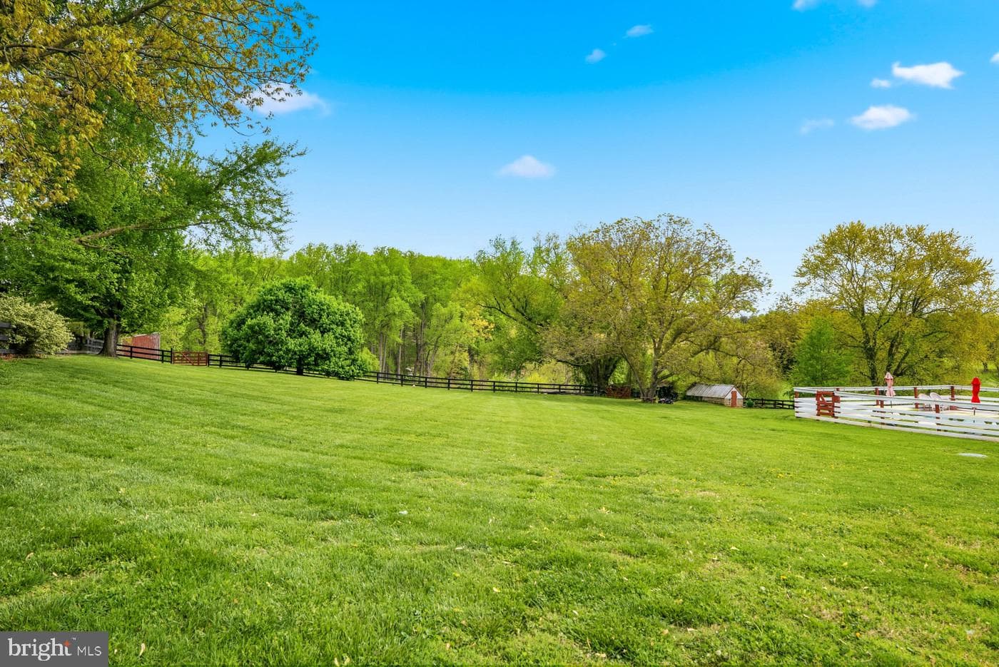 3524 Blenheim Road photo 52