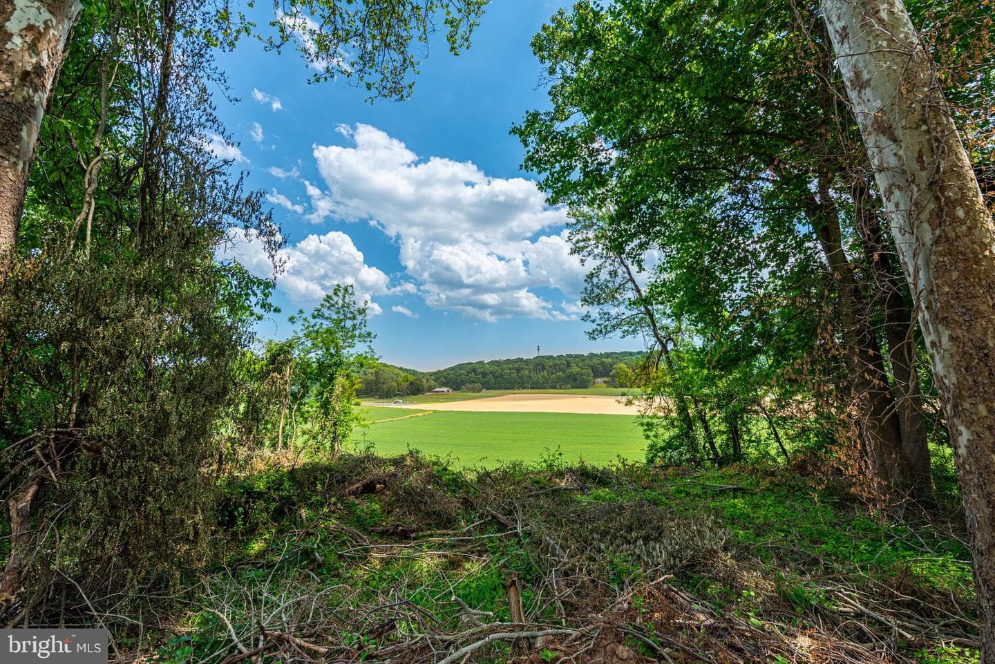 12303 Long Green Pike photo 43