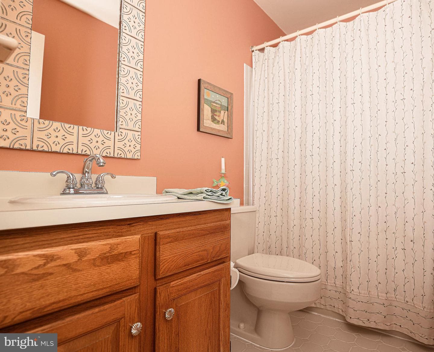 46 Dulaney Hills Court photo 32