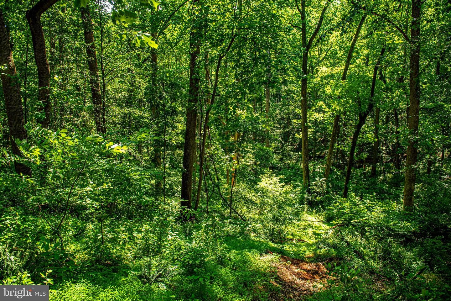 46 Dulaney Hills Court photo 41