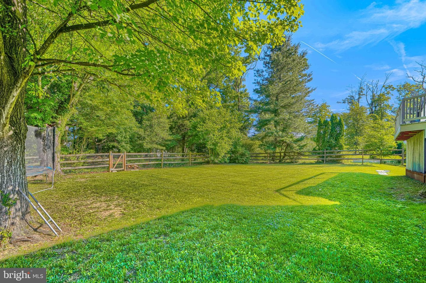 9808 Forge Park Road photo 39