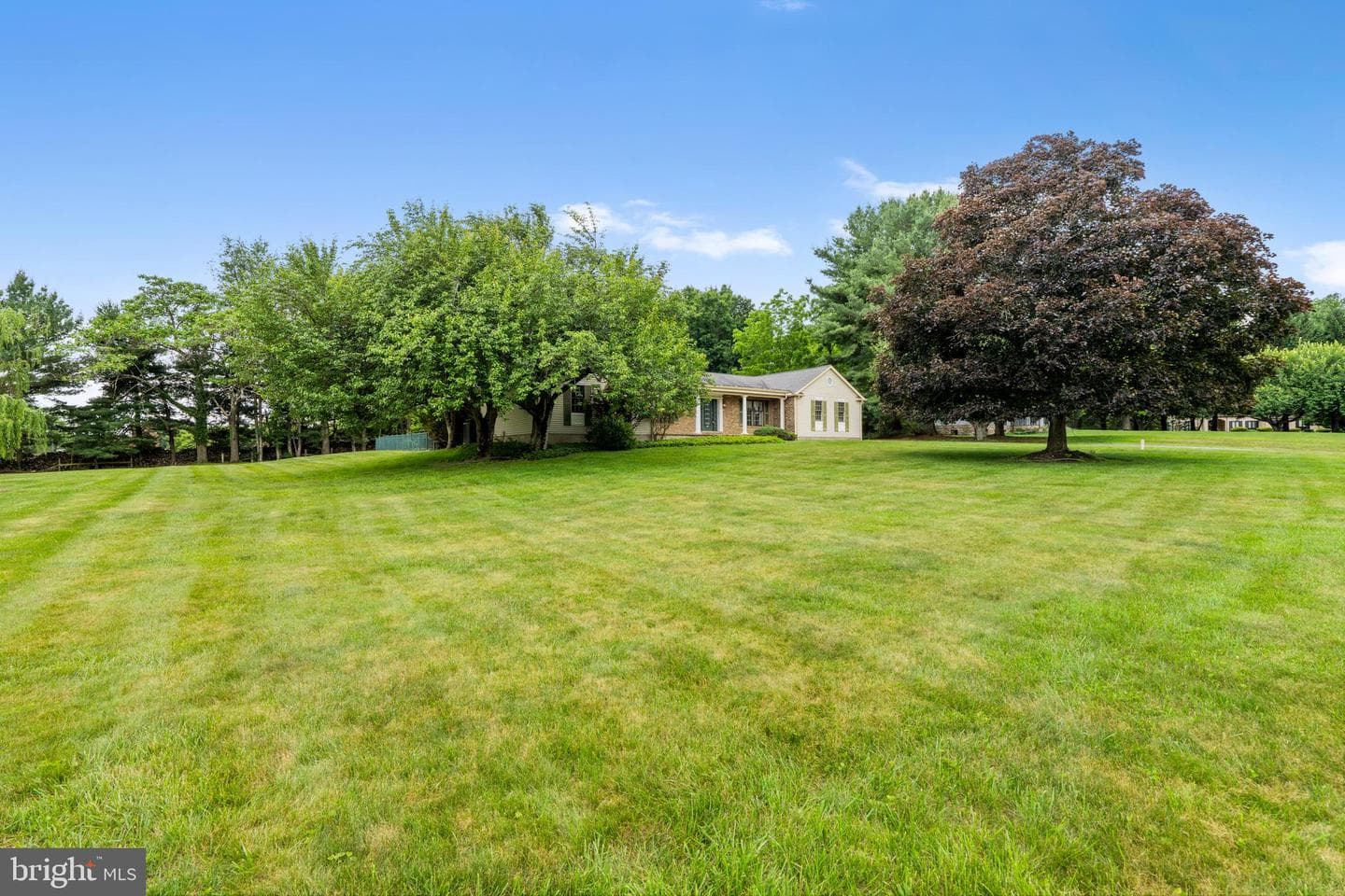 21 Barthel Court photo 40