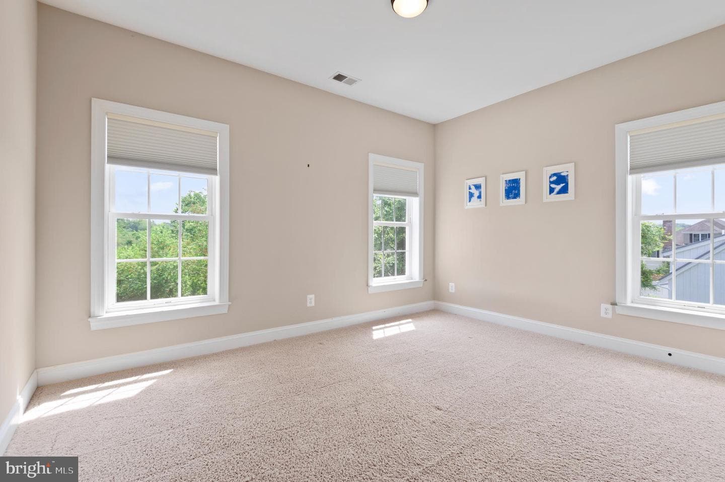 14513 Ventry Farm Court photo 28