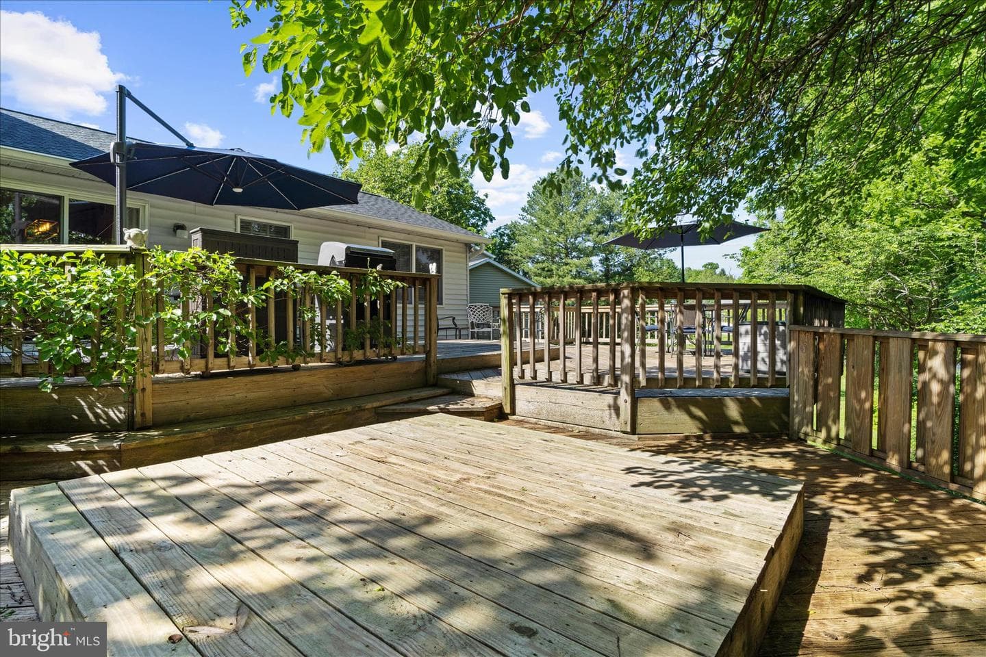 13 Blake Court photo 39