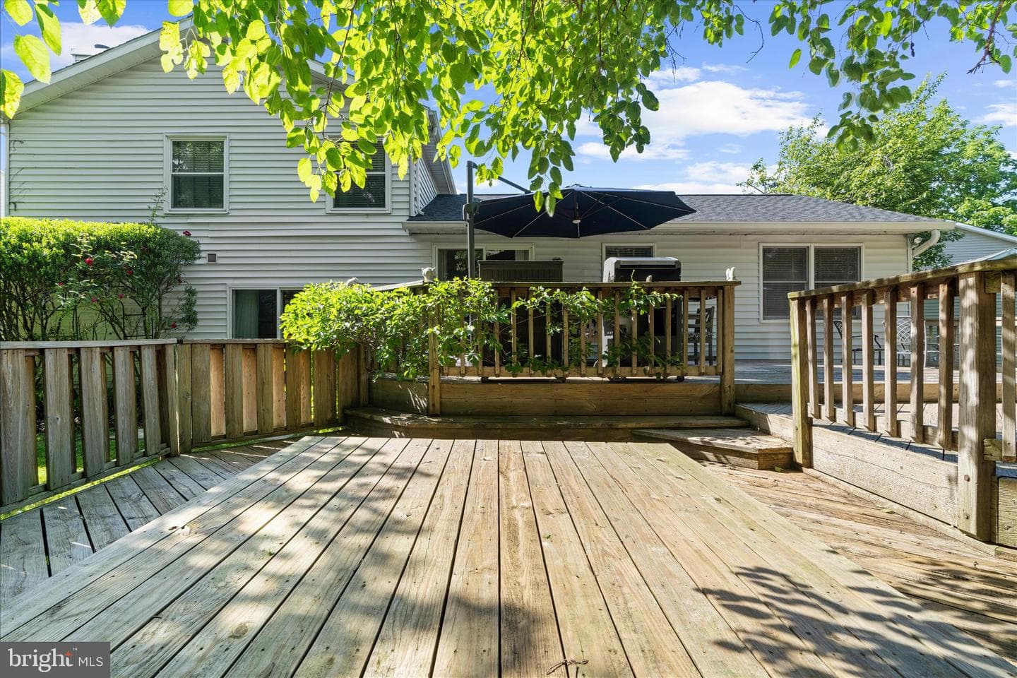13 Blake Court photo 44