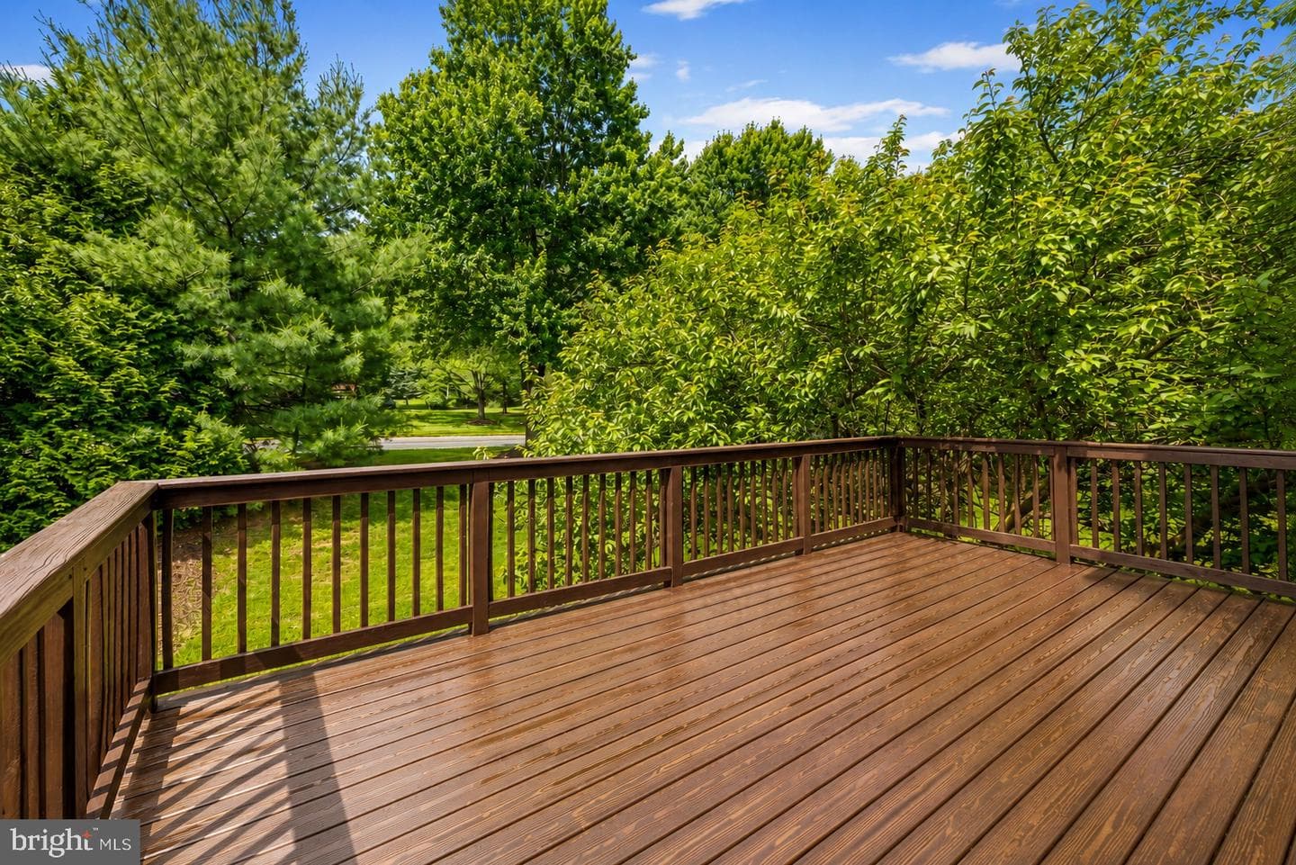 56 Rhodes Place photo 43