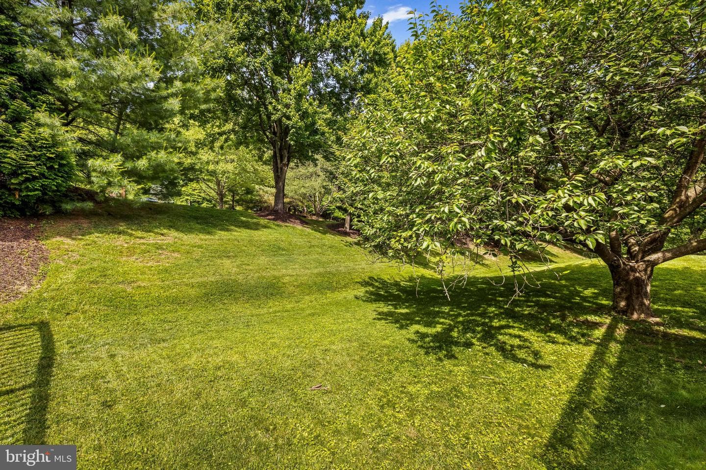 56 Rhodes Place photo 45