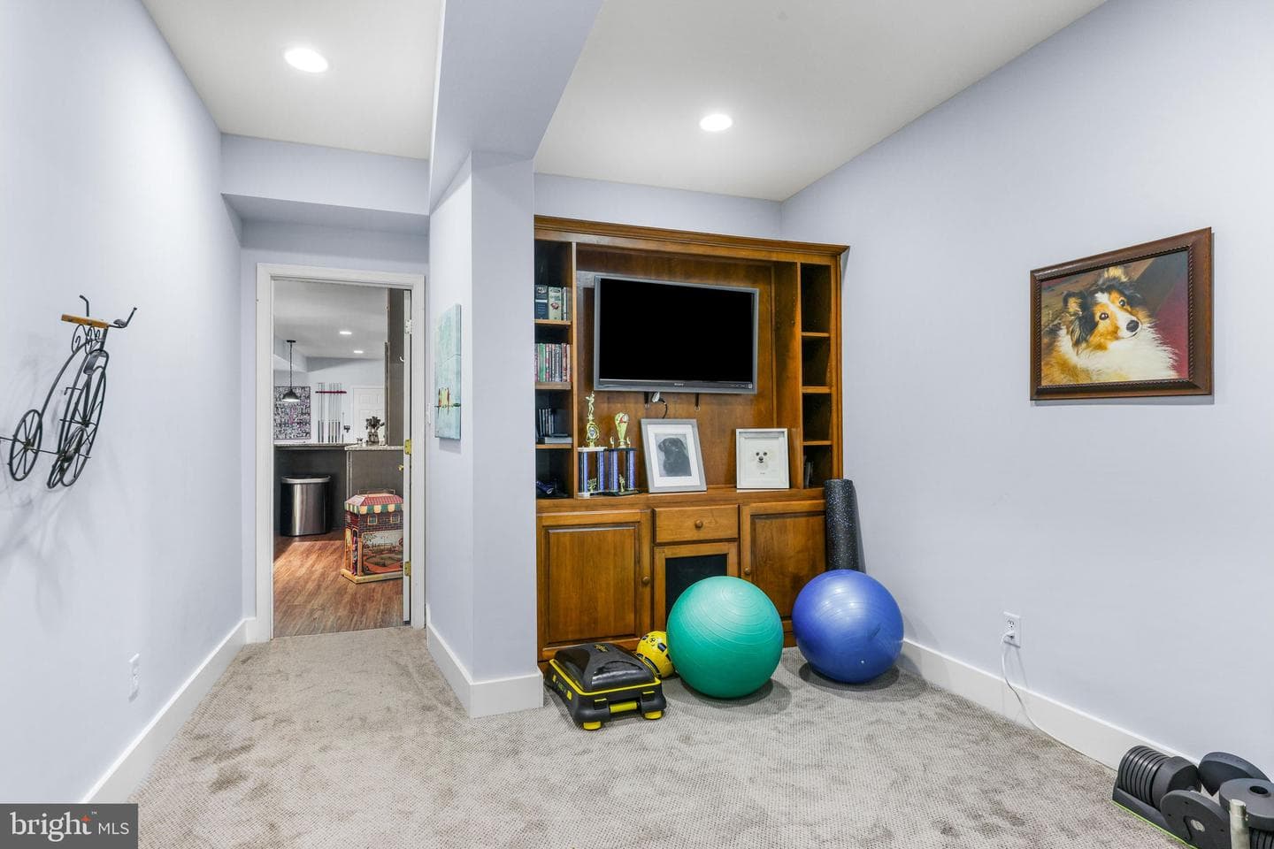 5 Carroll Run Court photo 81
