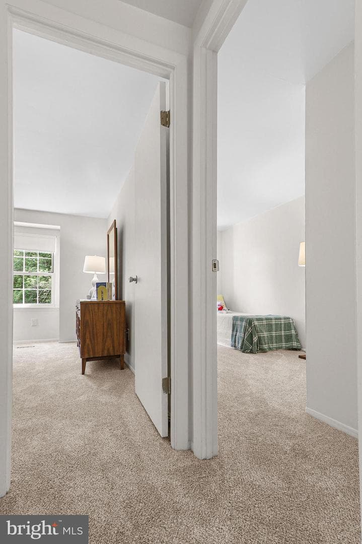 28 Melken Court #7g photo 19