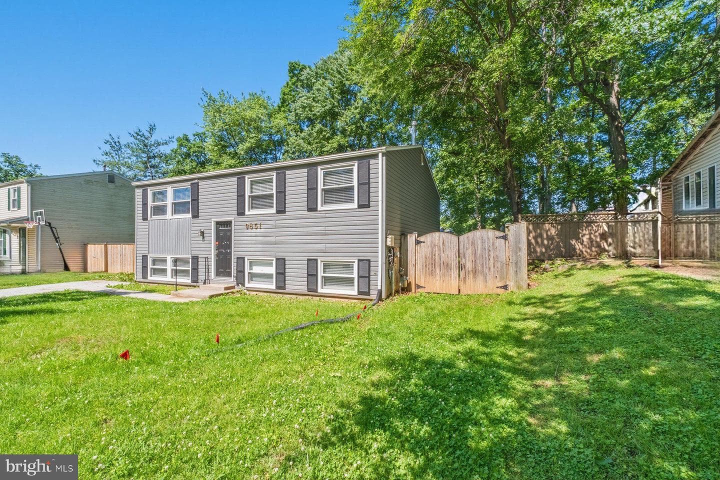 9851 Branchleigh Road photo 5