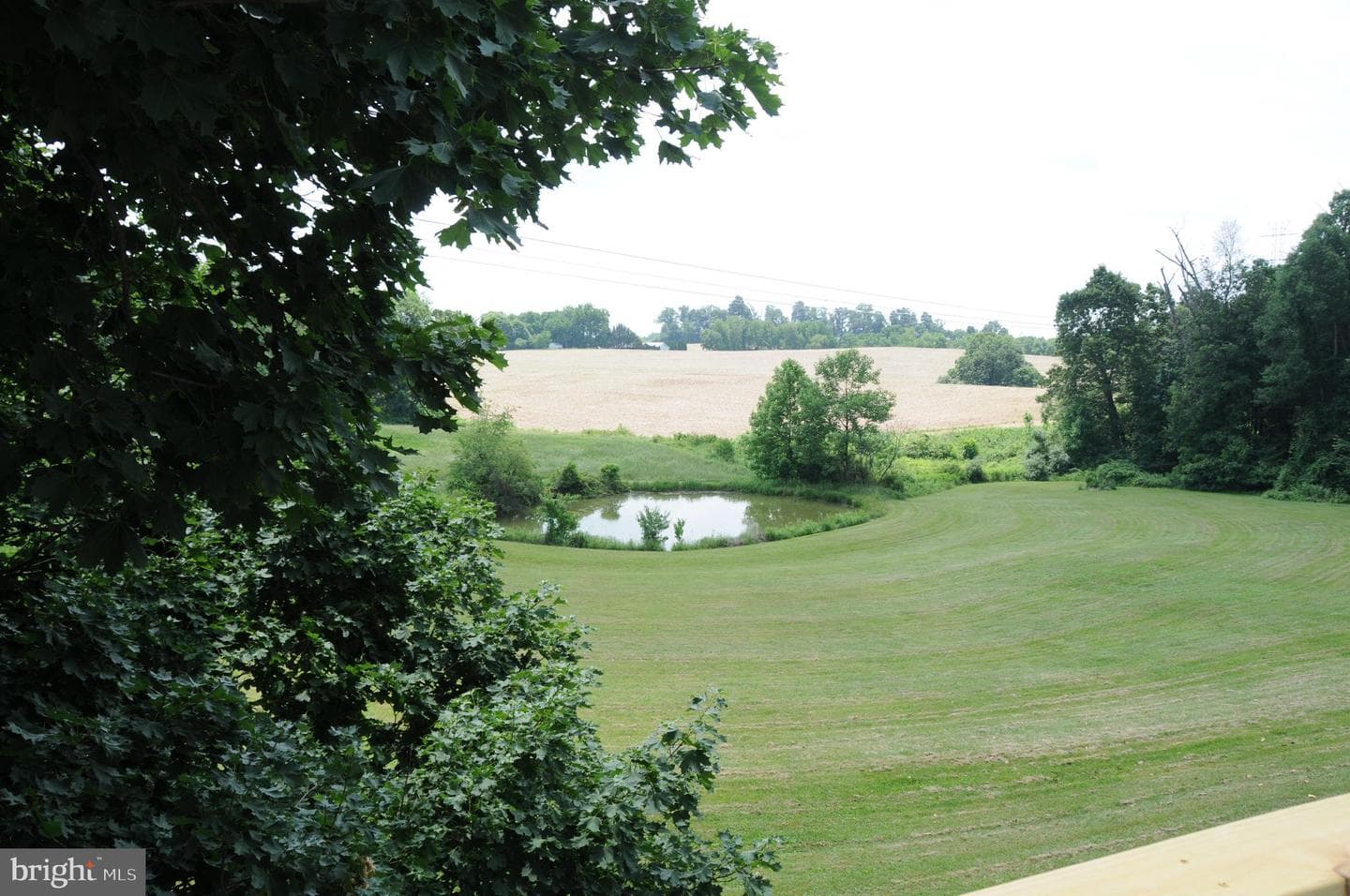 20408 Old York Road photo 27