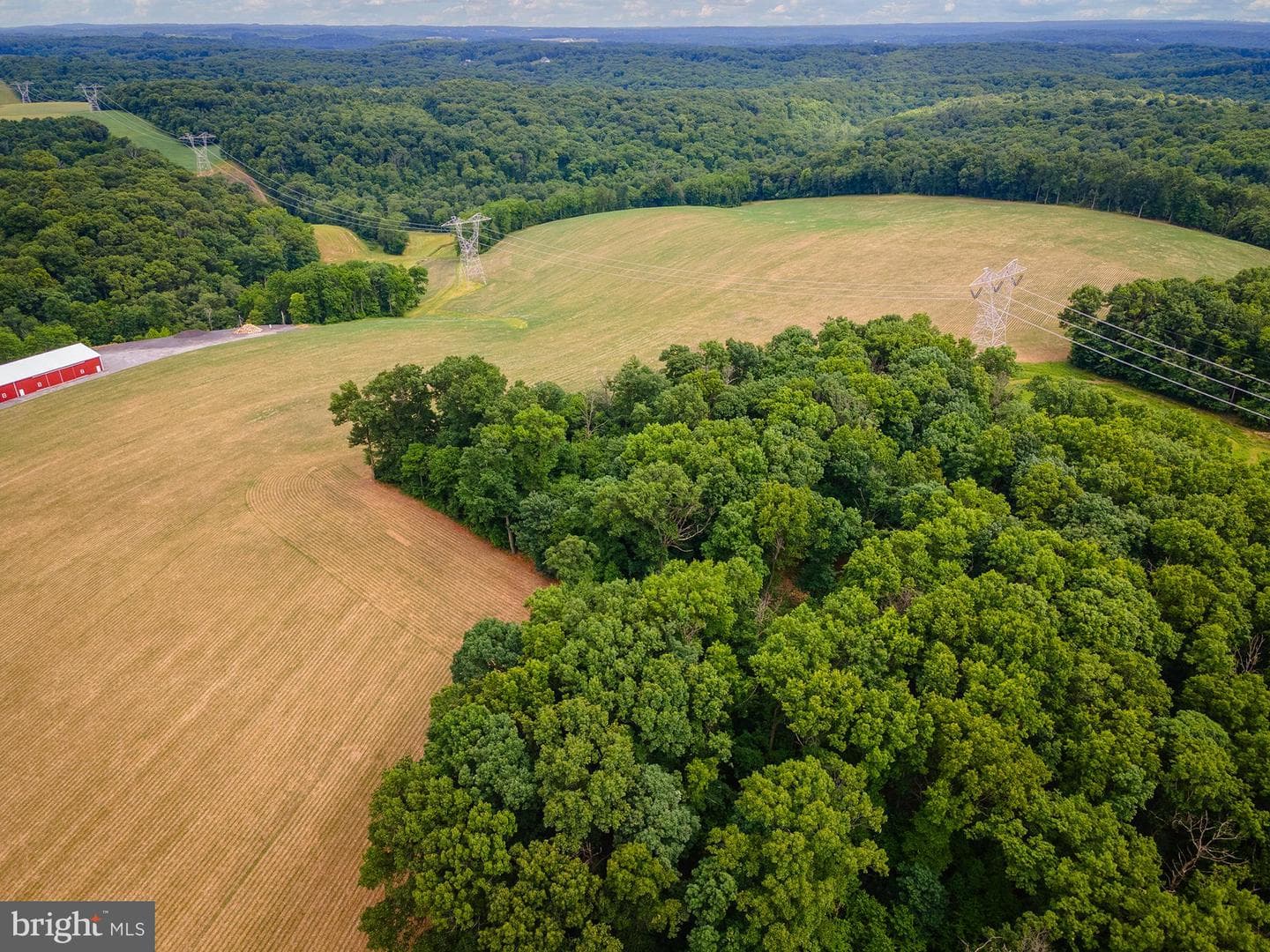 901 Freeland Road photo 21