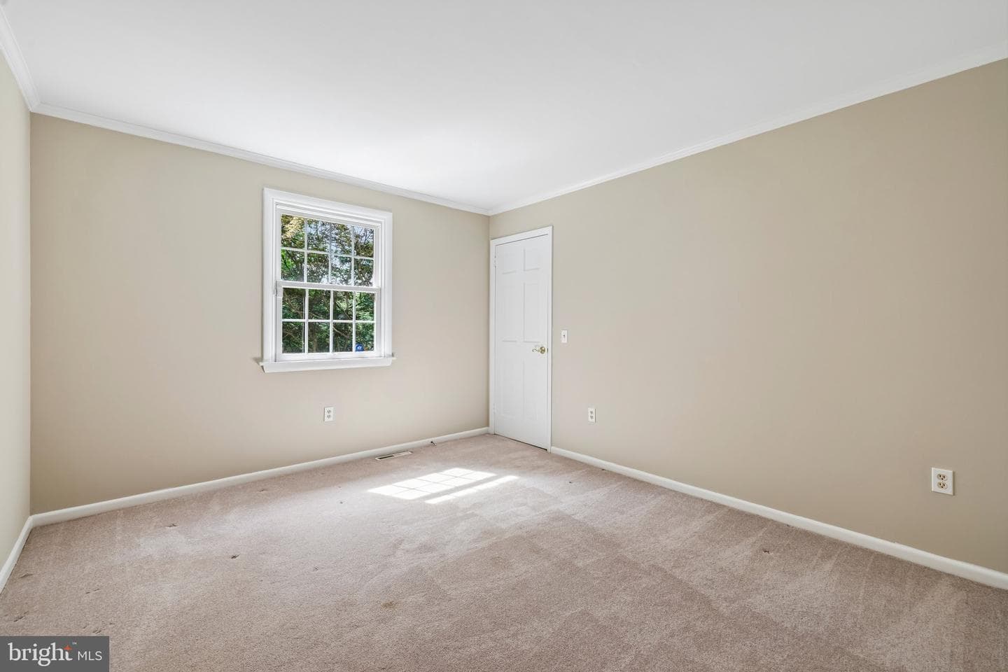 11124 Old Carriage Road photo 27
