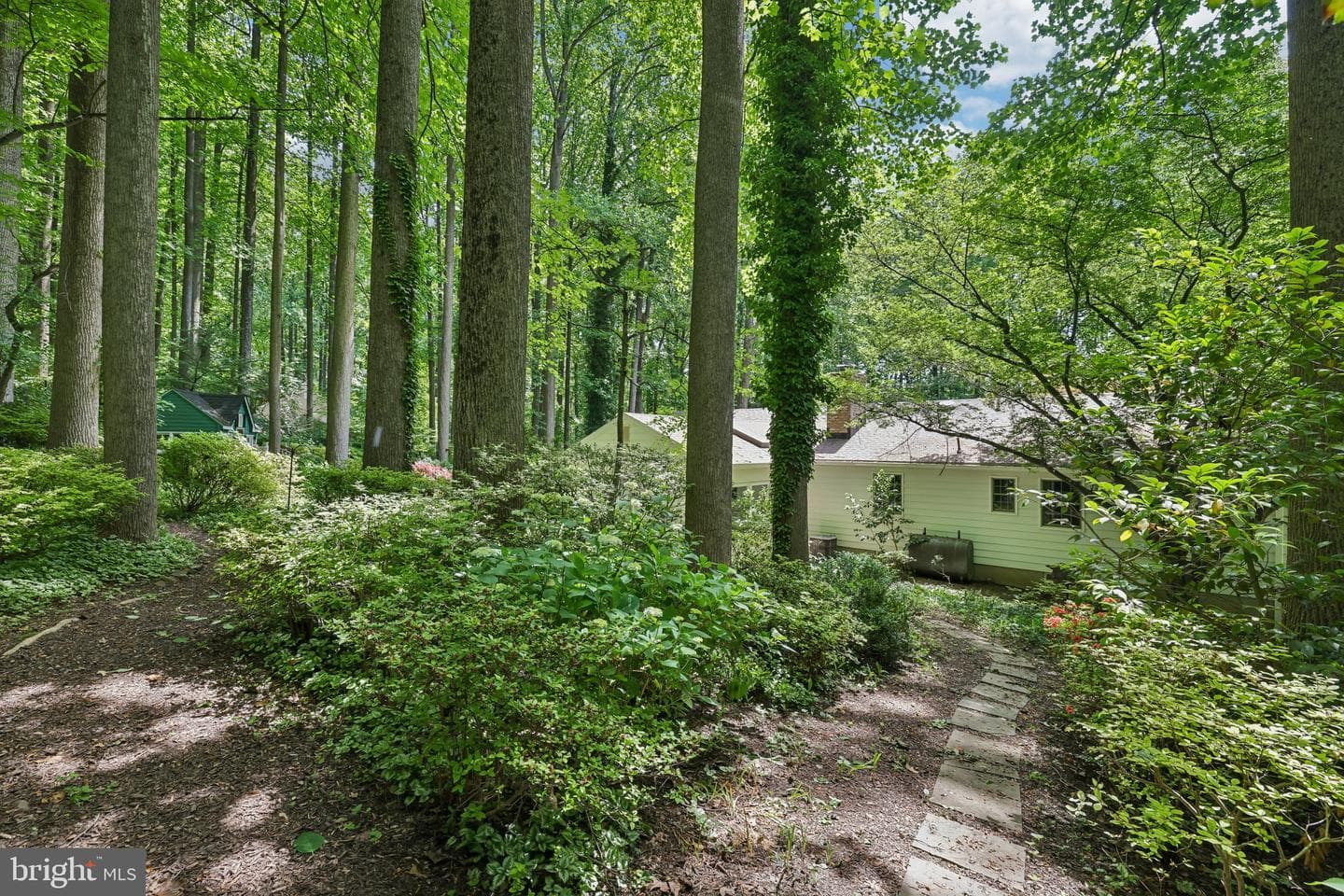 11124 Old Carriage Road photo 59