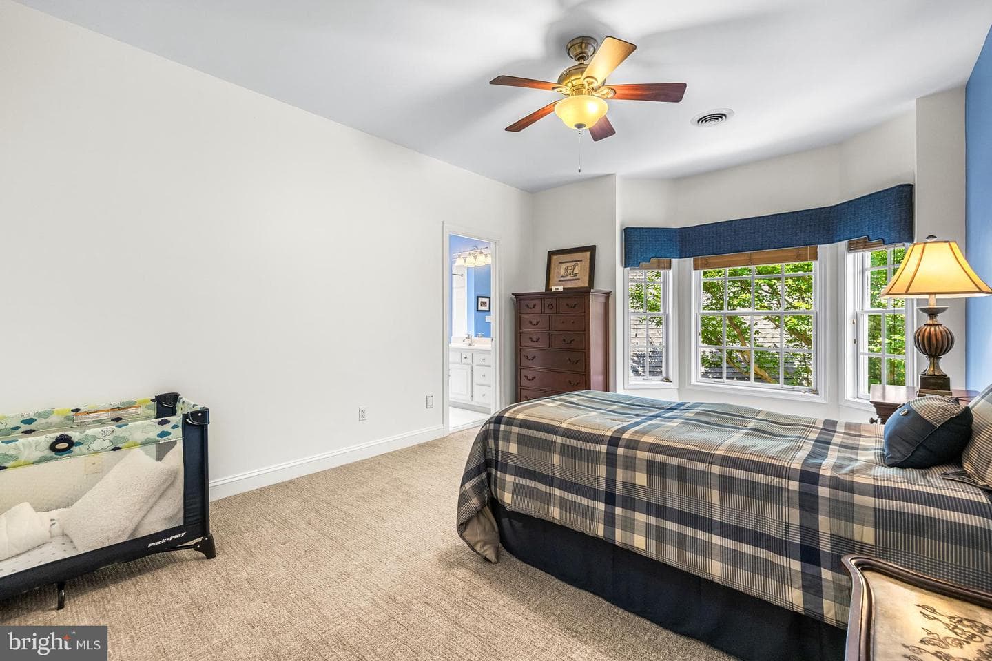 11 Springhill Farm Court photo 47