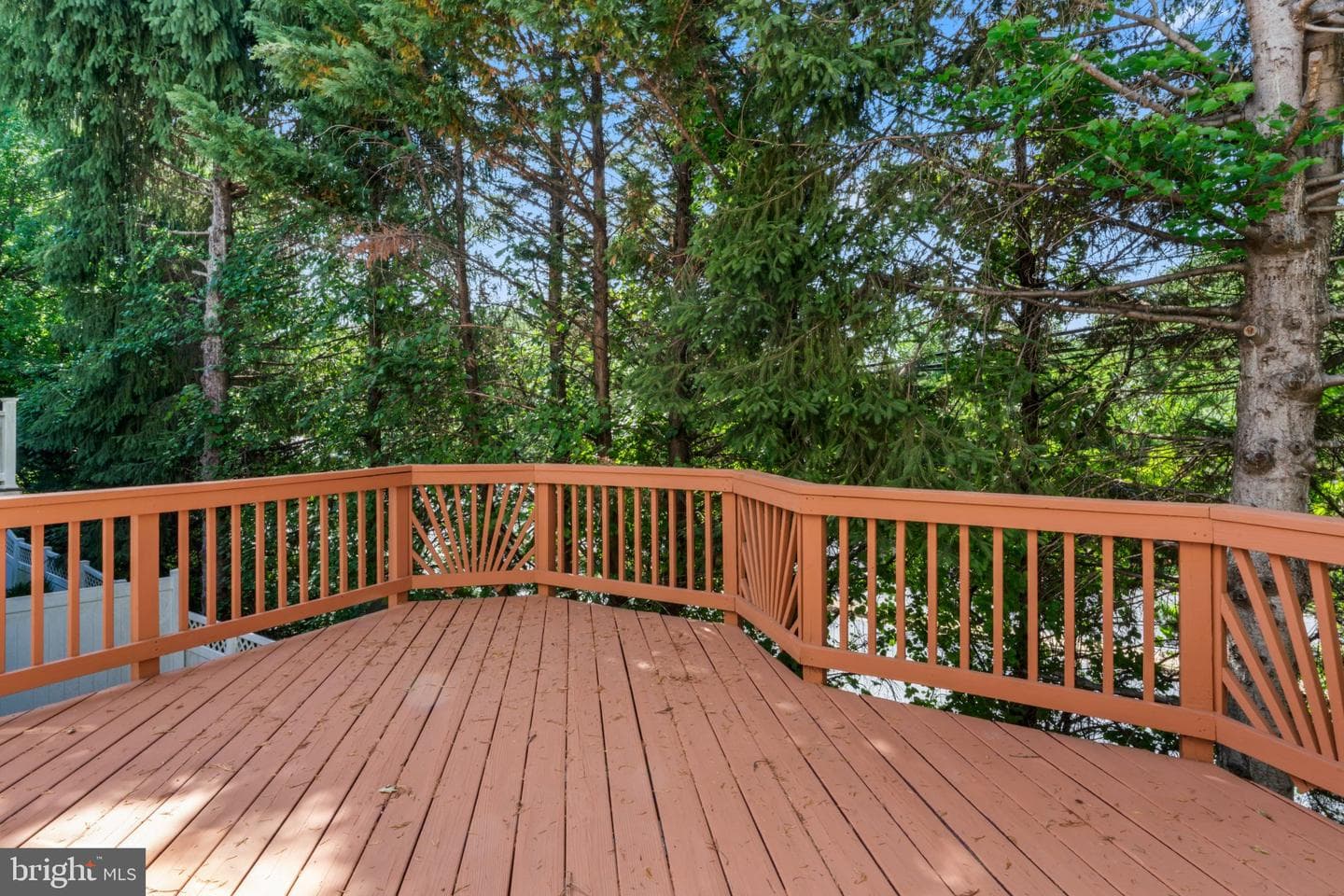 122 Persimmon Cir photo 31