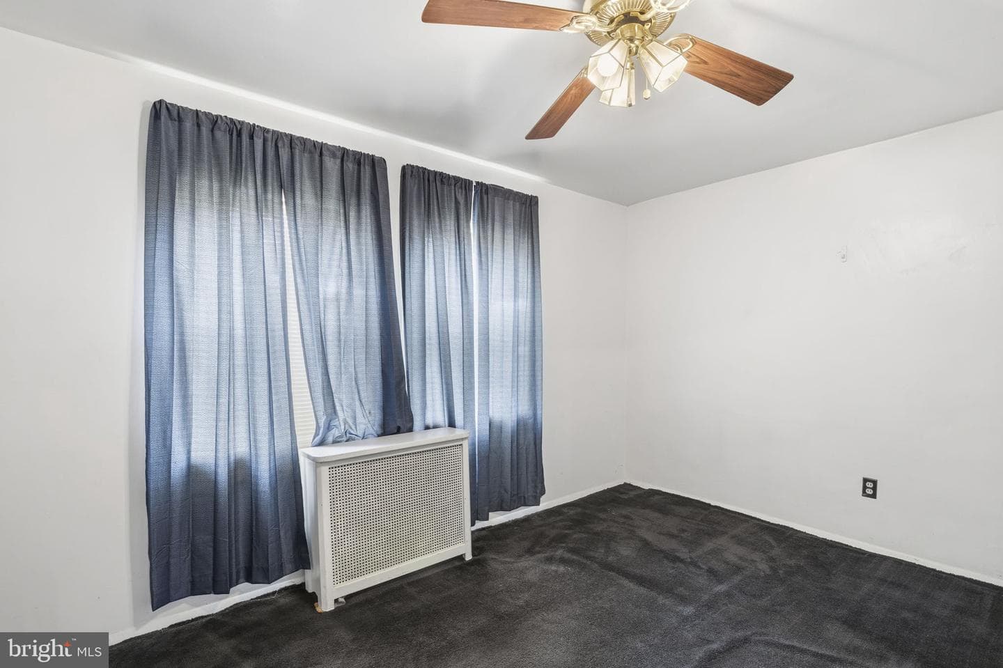 6 Chesley Avenue photo 12