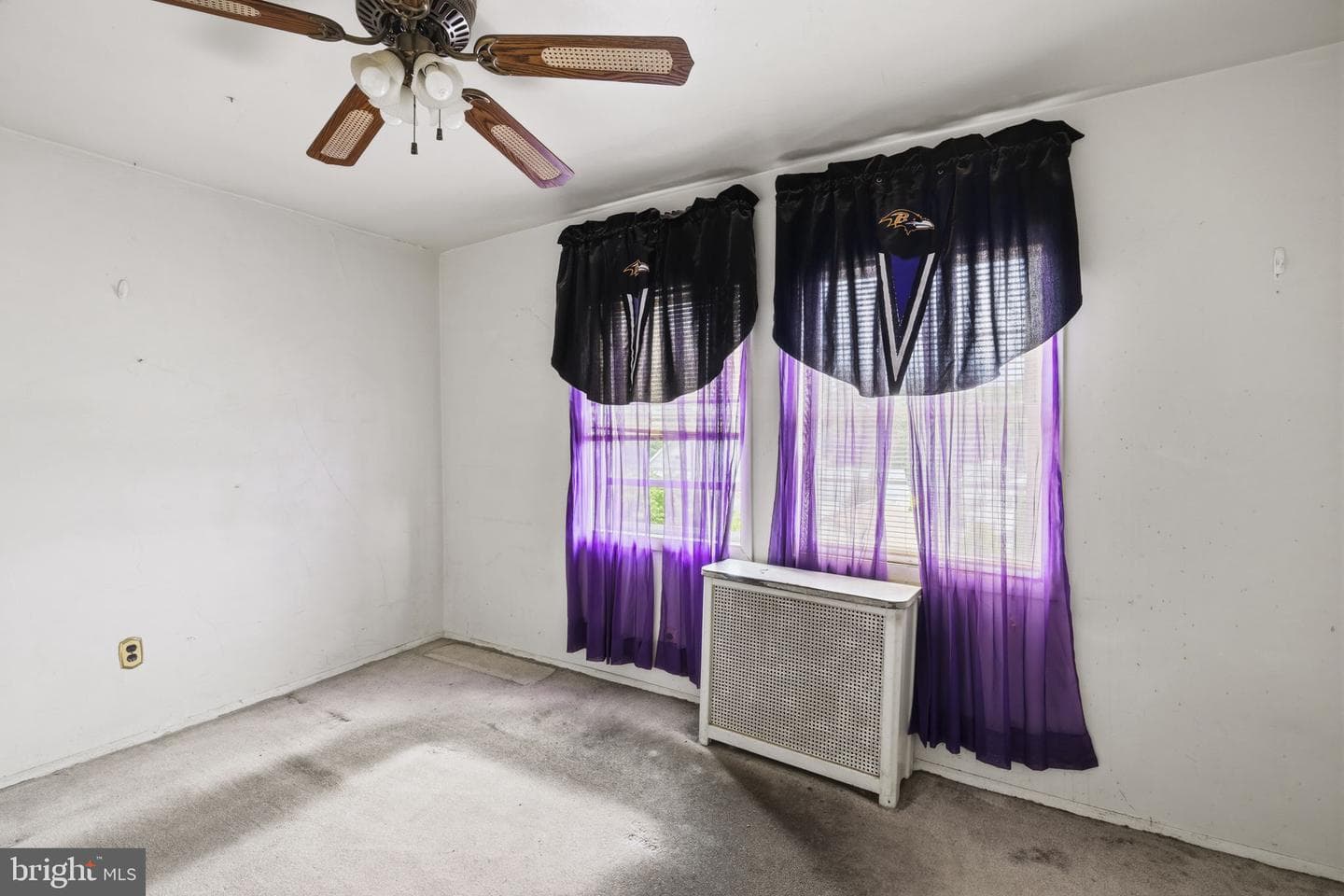 6 Chesley Avenue photo 8