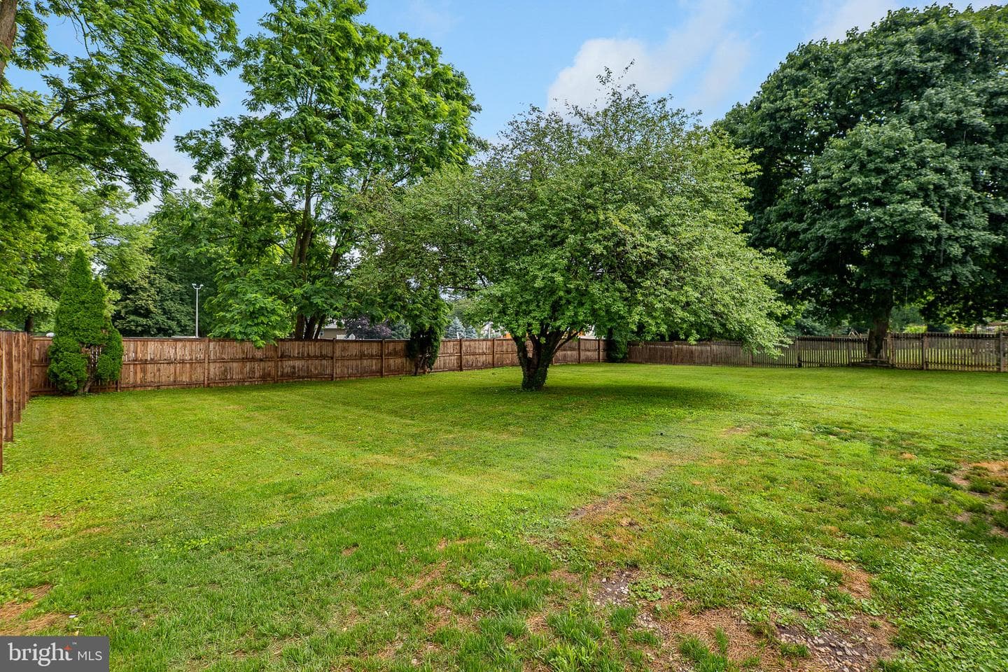 33 Bond Avenue photo 29