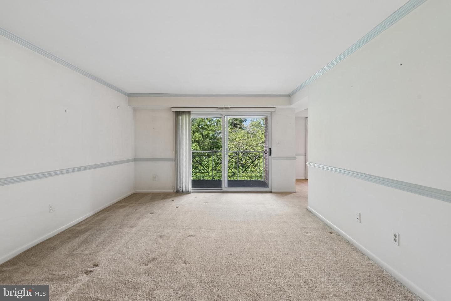 1 Lucan Court #301 photo 4