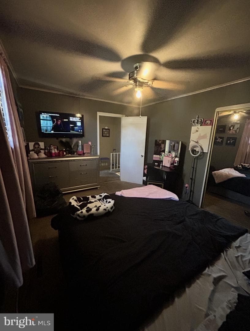 8107 Callo Ln photo 9