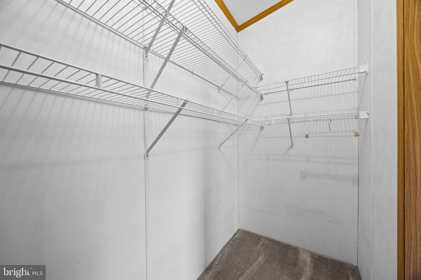 3306 Everlasting Lane photo 18