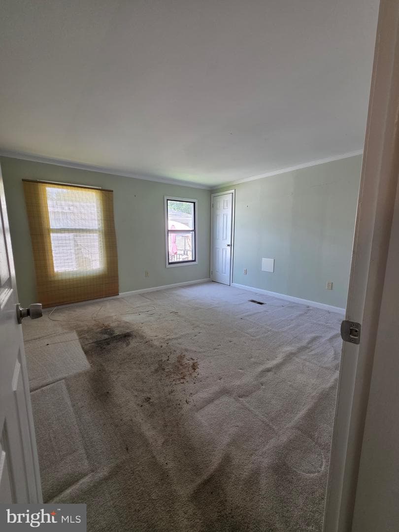 24 Tearose Dr photo 14
