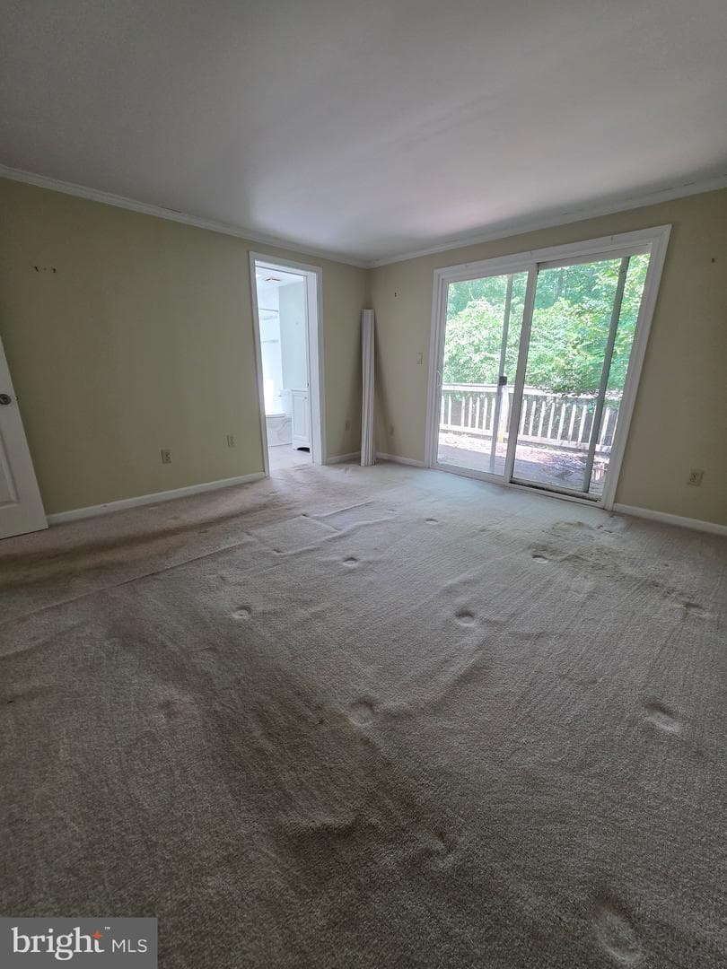 24 Tearose Dr photo 16