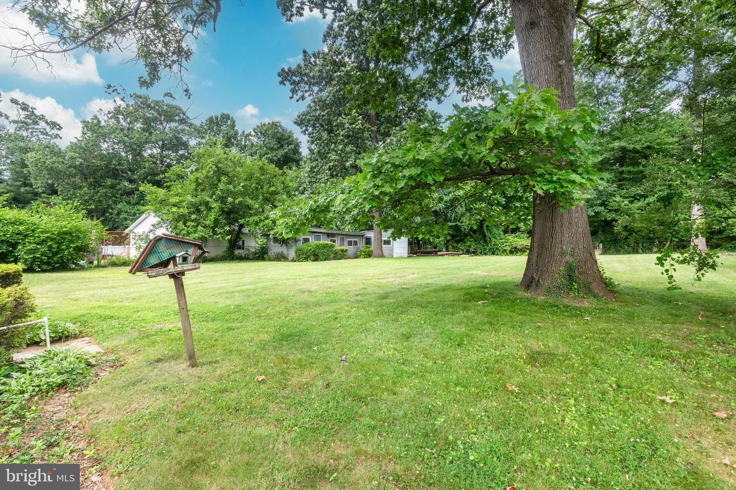 204 Uppergate Court photo 46
