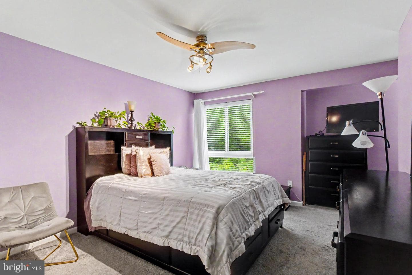 6 Lamplighter Court #6 photo 23