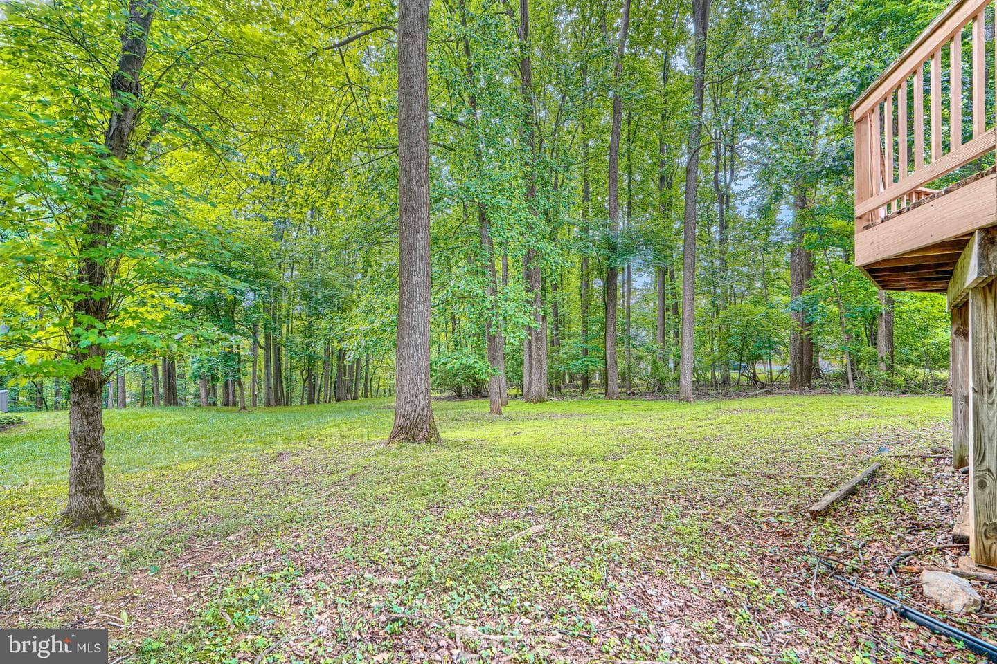 12101 Faulkner Drive photo 34