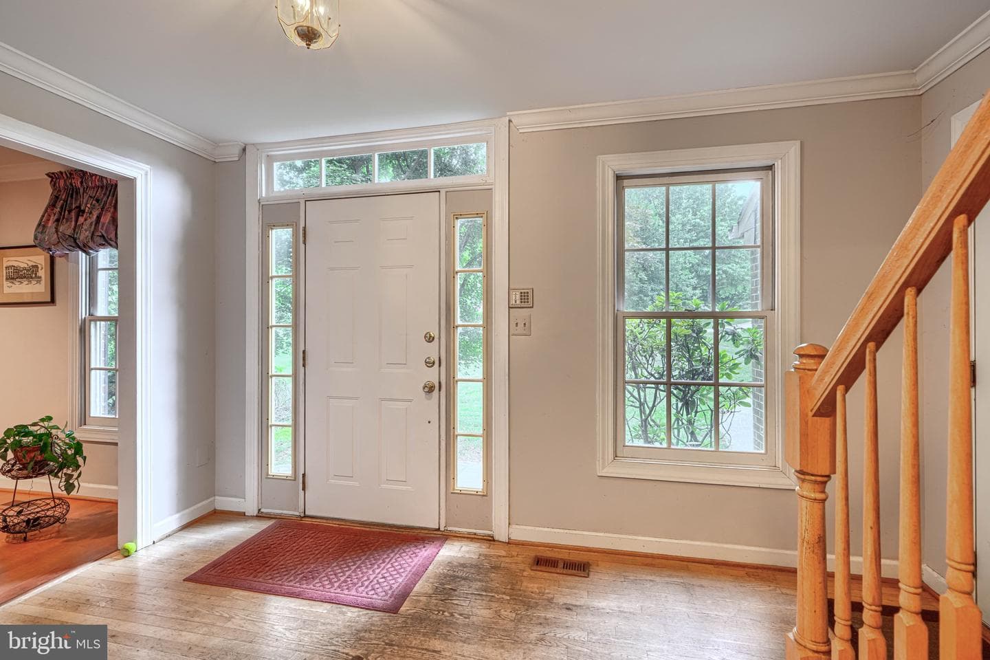 12101 Faulkner Drive photo 4