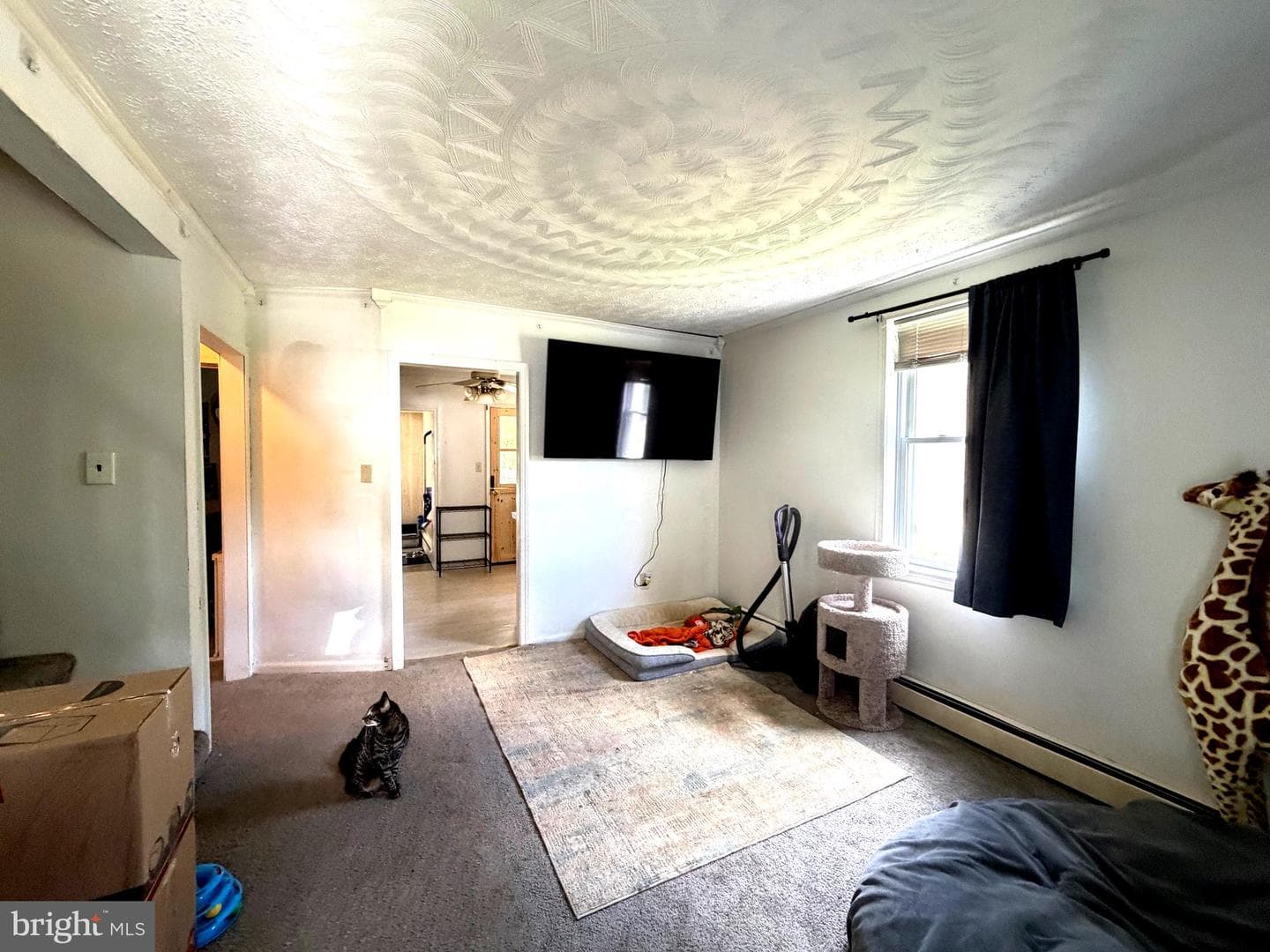 3307 Chapman Road photo 5