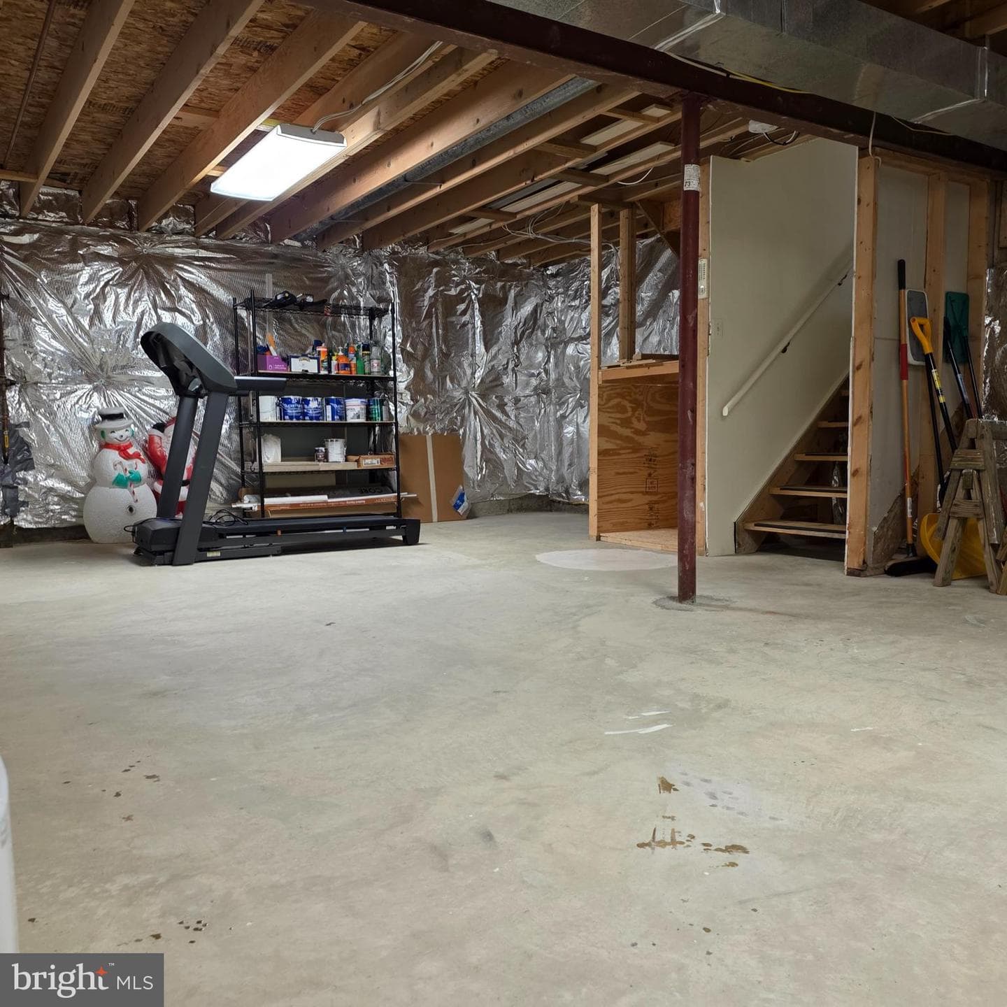 8 Treadway Court photo 51