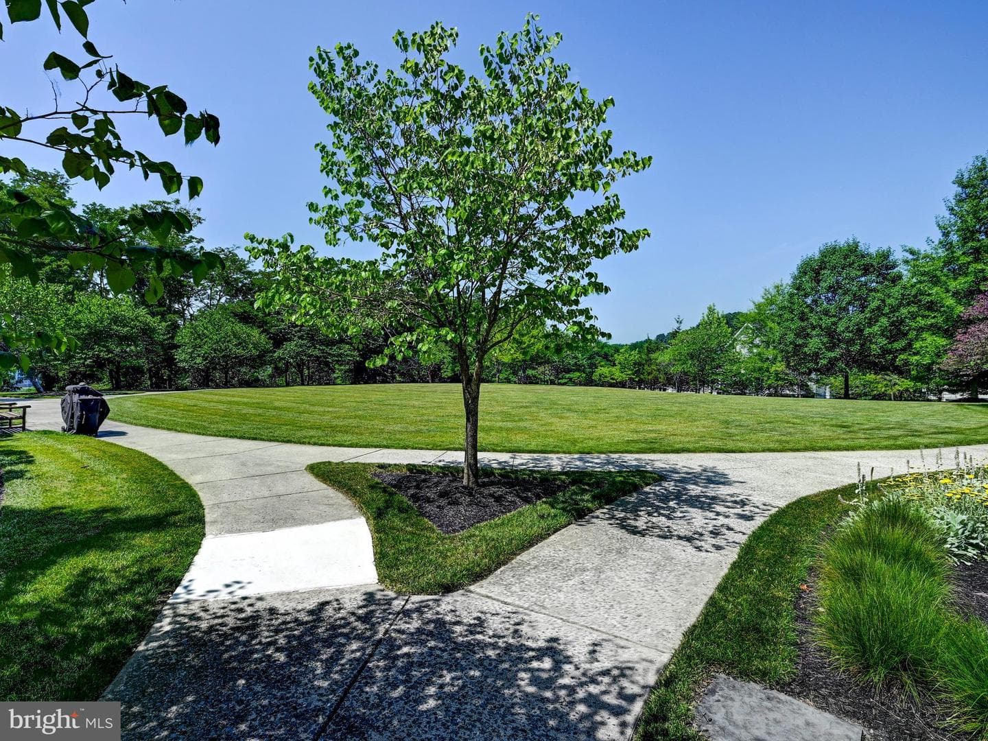 7101 Travertine Dr # 308 photo 23